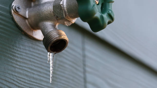 Best Local Plumber Services  in Corralitos, CA