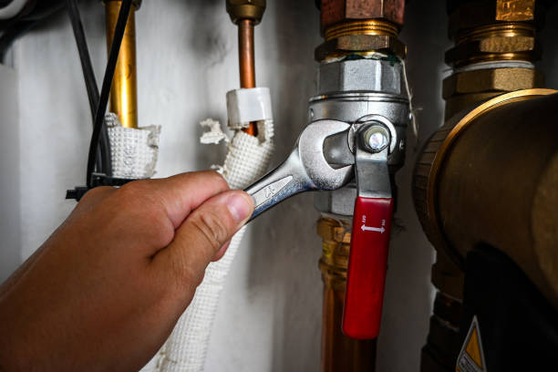 Best Local Plumber Services  in Corralitos, CA